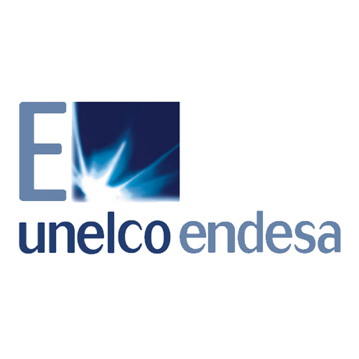 13-unelco-endesa