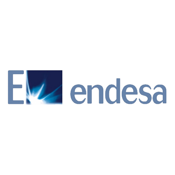 14-endesa